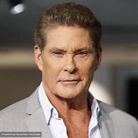 Artist David Hasselhoff